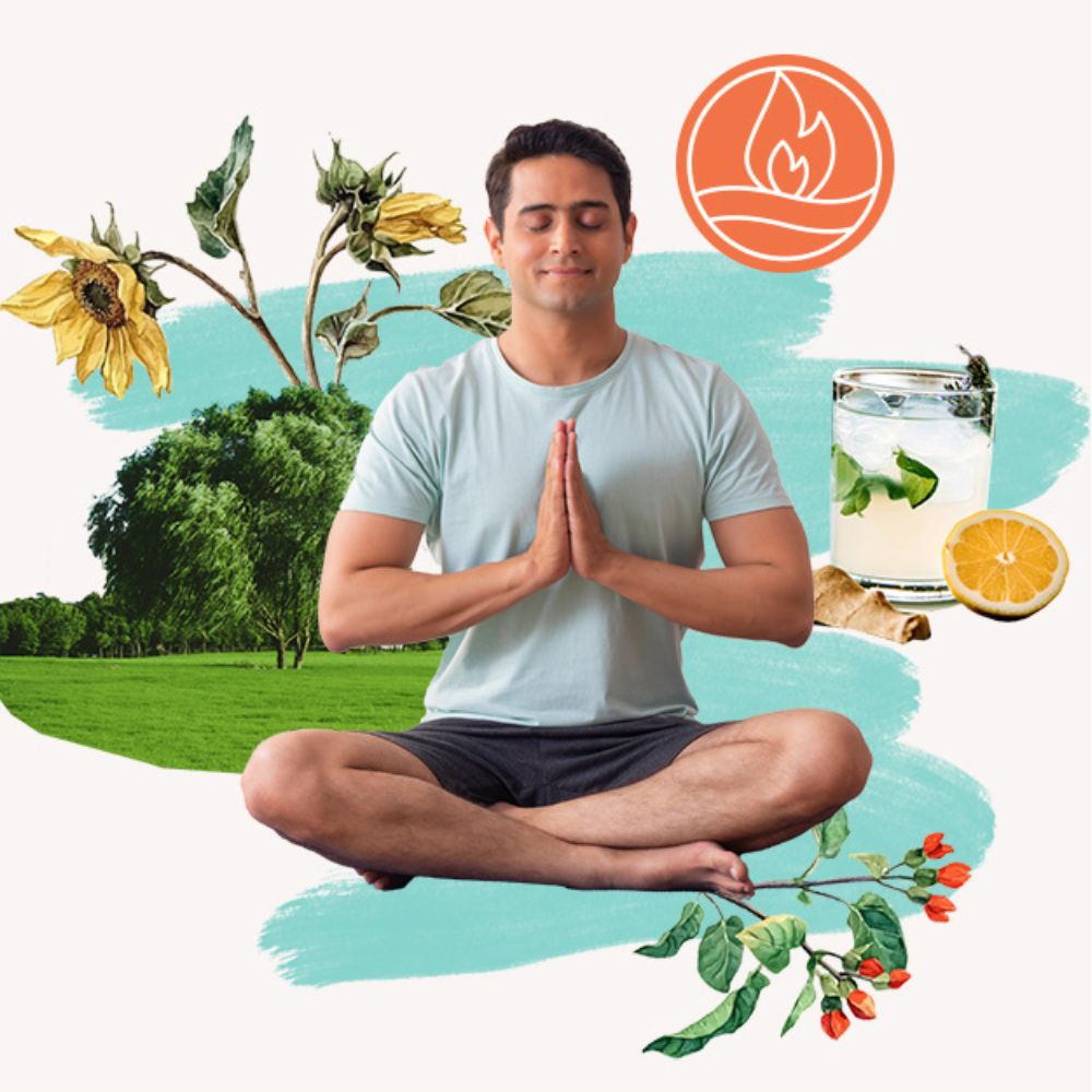 Pitta Home Cleanse (2026)