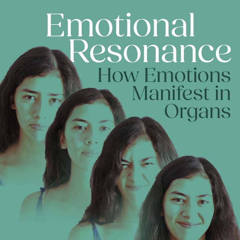 Emotional Resonance: How Emotions Manifest in Organs Course Bundle