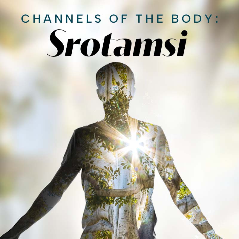 Channels of the Body - Srotamsi - 8 Sessions