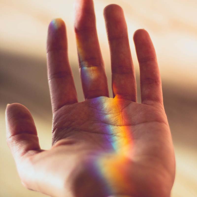 Ayurvedic Palmistry - Medicine in the Palm of your Hand