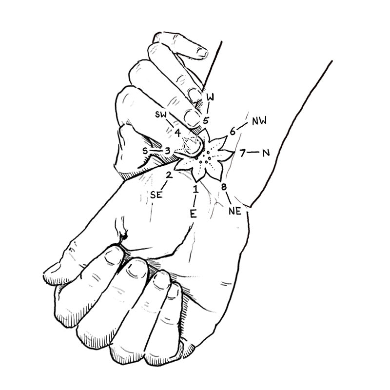 The Art of the Pulse