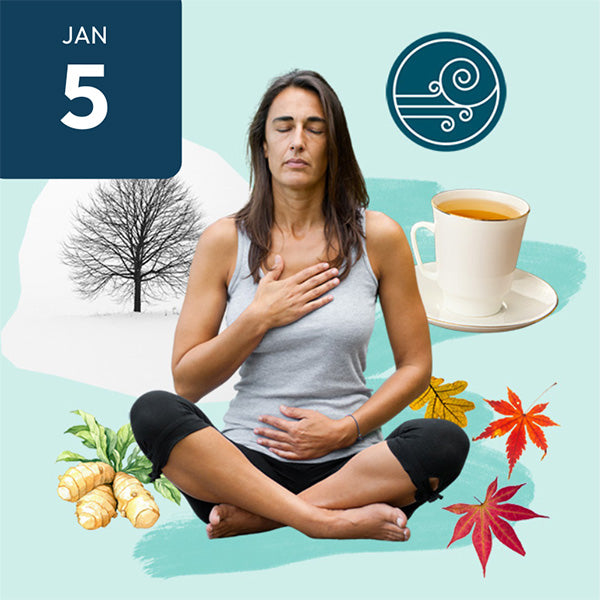 Vata Home Cleanse
