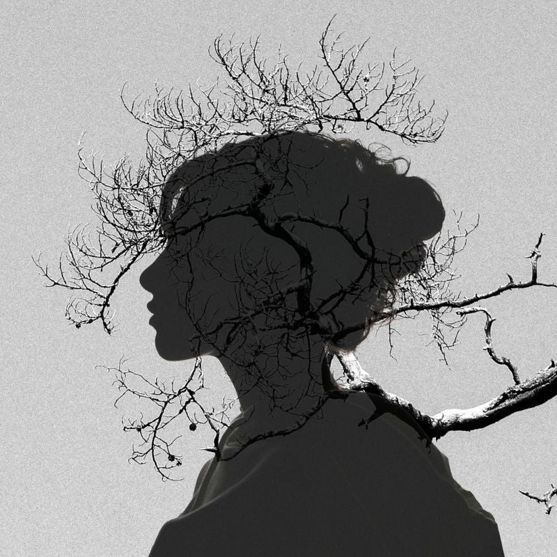 The Integrated Self: Mastering the Psycho-Neuro-Physiological Balance