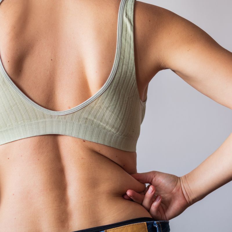 Meda Vaha Srotas: The Ayurvedic View of Fat, Metabolism & Vitality
