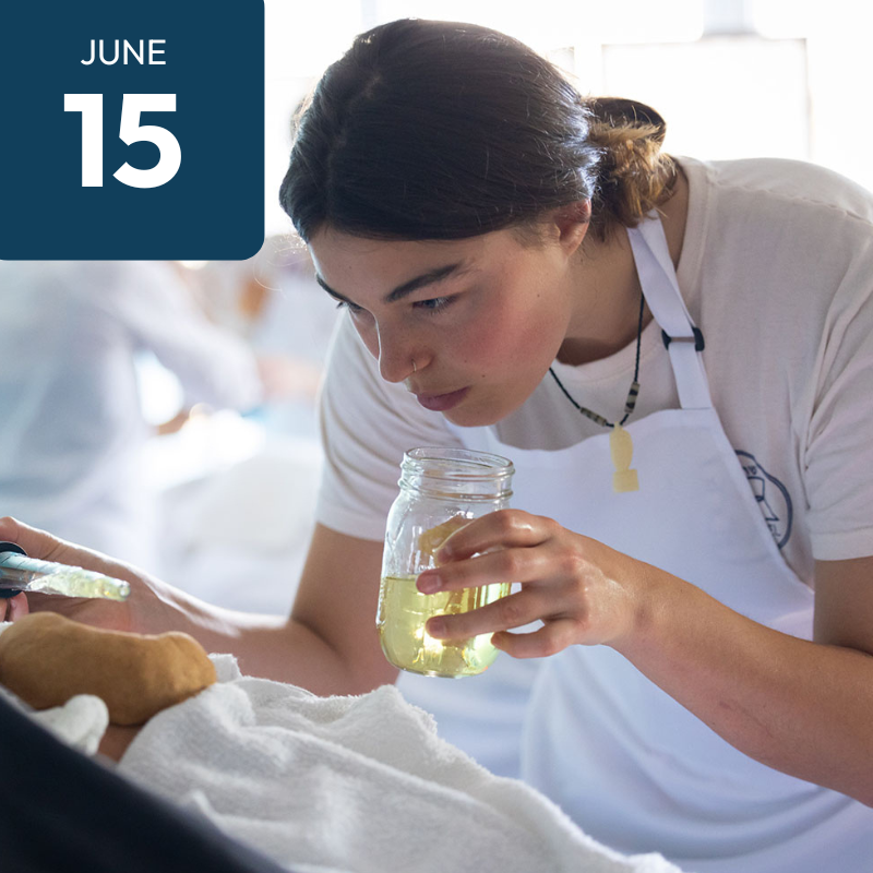 Ayurvedic Bodywork and Therapeutics 2026