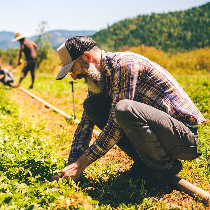 From Soil to Soul: Nourishing Yourself and the Planet