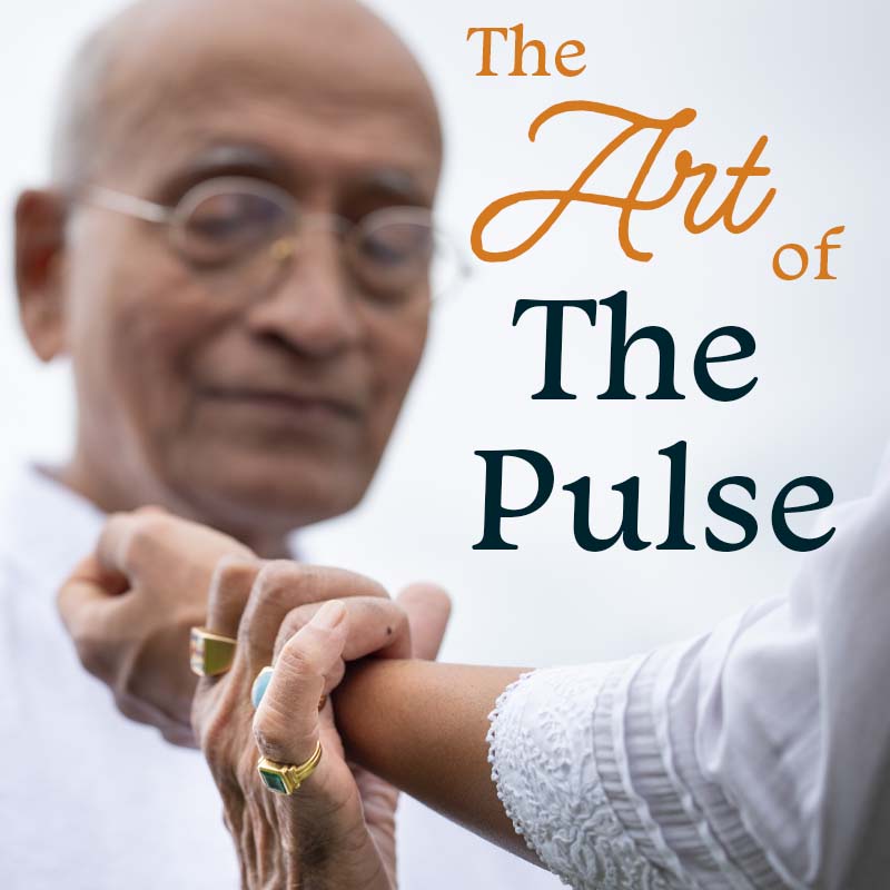 The Art of the Pulse (Online - 2024)