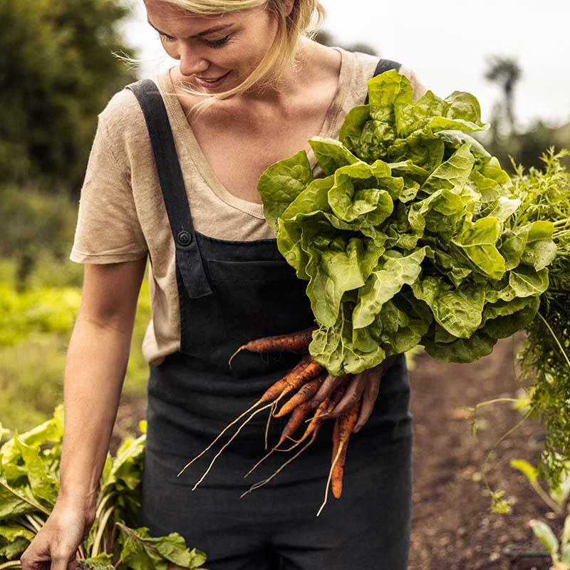 From Soil to Soul: Nourishing Yourself and the Planet